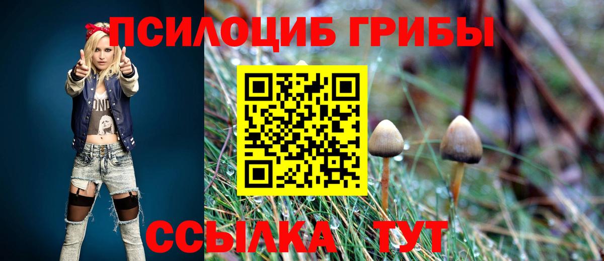 Псилоцибиновые грибы Psilocybe Нефтеюганск
