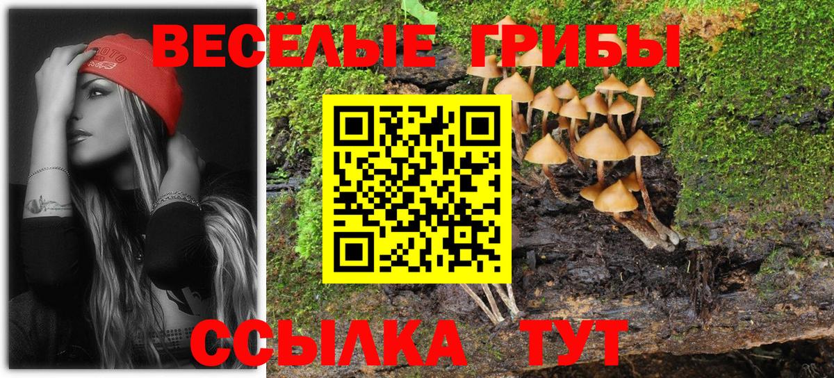Нефтеюганск  Галлюциногенные грибы Magic Shrooms  Вход с VPN 